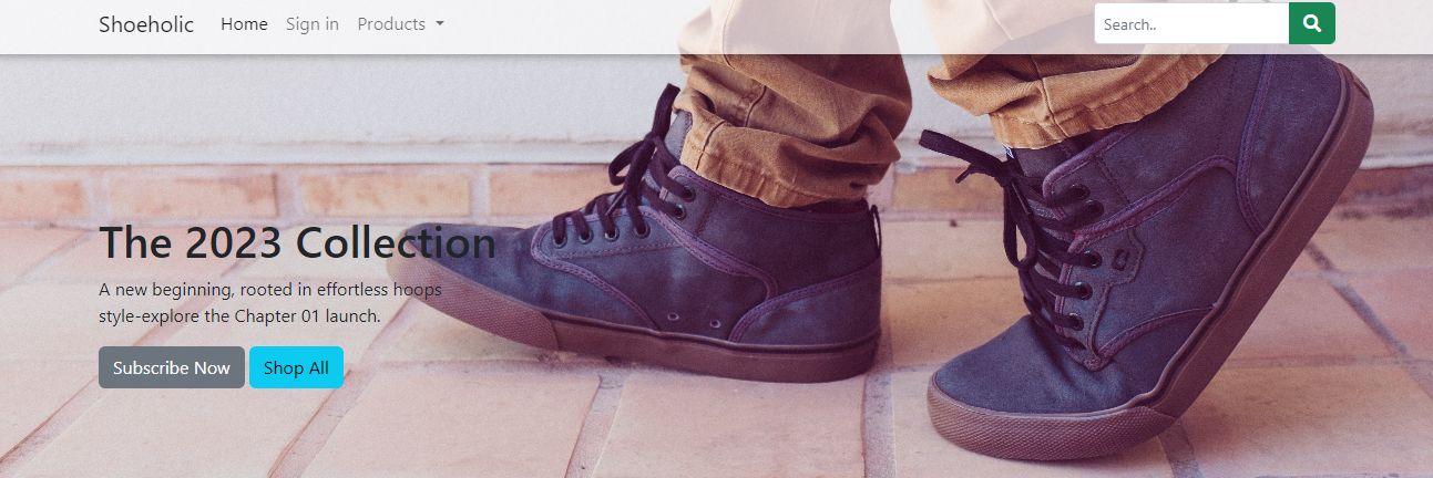 Shoe Picture